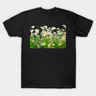 Daisy T-Shirt